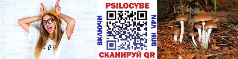 ссылка на мегу ссылка  Кудымкар  Галлюциногенные грибы Cubensis  даркнет сайт 